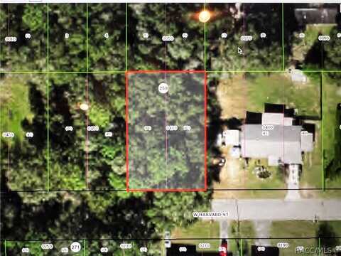 408 W Harvard Street, Inverness, FL 34452