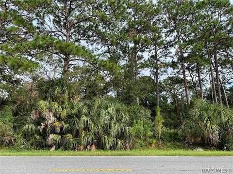 7860 W Homosassa Trail, Homosassa, FL 34448