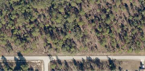 Lot 25 SW Cottonwood Lane, Dunnellon, FL 34431