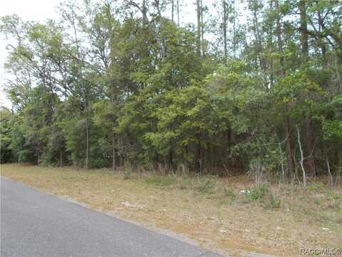 279 N KINGLET Avenue, Hernando, FL 34442