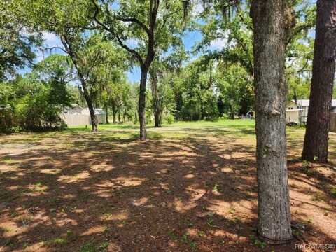 6688 W Homosassa Trail, Homosassa, FL 34448