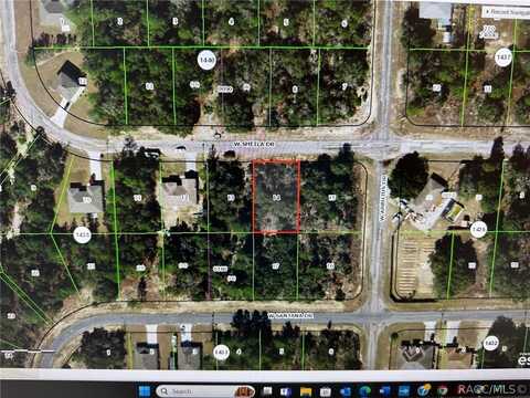 2890 W Sheila Drive, Citrus Springs, FL 34433