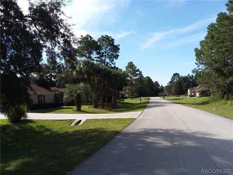 3 Woodlee Court S, Homosassa, FL 34446