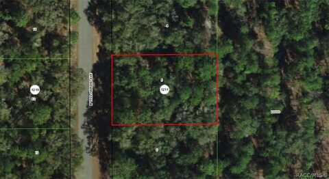 8353 N Yellowbird Avenue, Dunnellon, FL 34434