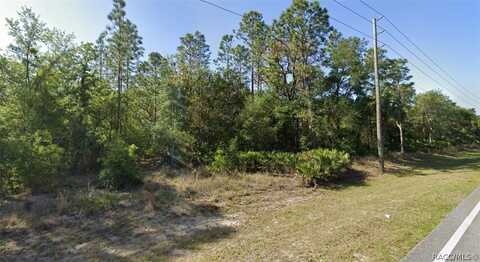 10488 W Dunnellon Road, Crystal River, FL 34428