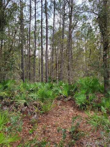 00 SE HWY 19 LOT 18 Highway, Inglis, FL 34449