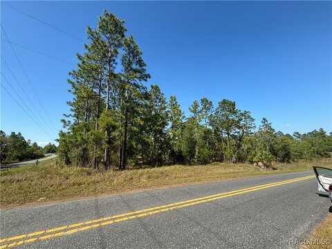 Tbd SW Mango Lane, Dunnellon, FL 34431