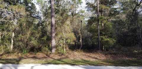 7453 W Broadway Street, Dunnellon, FL 34433