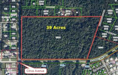 3607 N Citrus Avenue, Crystal River, FL 34428