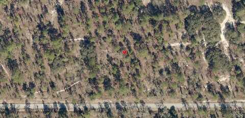 Lot 33 SW Blueberry Lane, Dunnellon, FL 34431