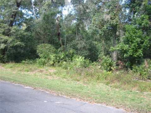 6675 N Hartman Path, Hernando, FL 34442