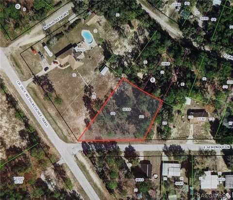 4007 E Seminole Lane, Dunnellon, FL 34434