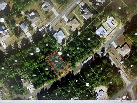 7982 N Pocono Drive, Citrus Springs, FL 34434