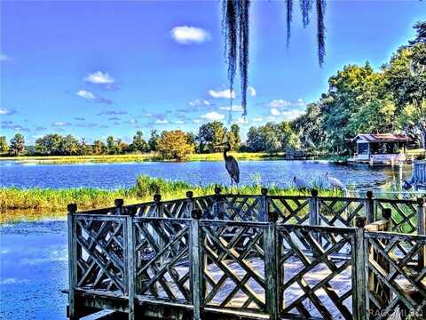 504 Lake Street, Inverness, FL 34450