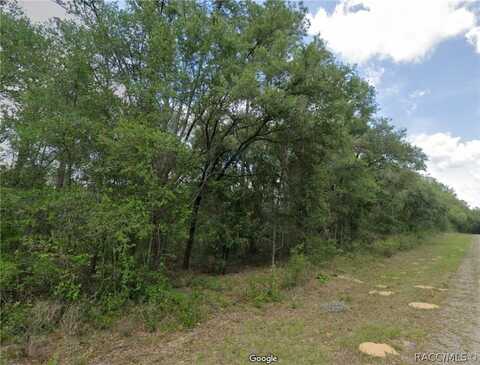 737 E Byrd Loop, Dunnellon, FL 34434