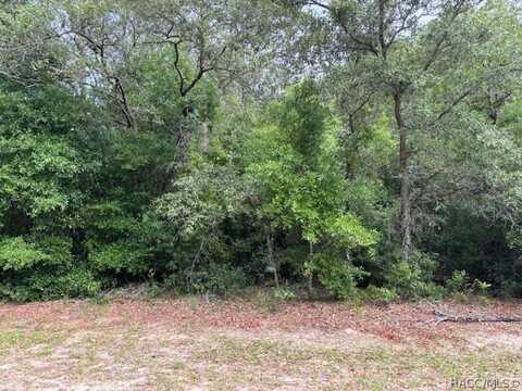 4270 N Indianriver Drive, Hernando, FL 34442