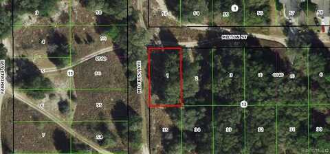 2109 Milton Street, Inverness, FL 34453