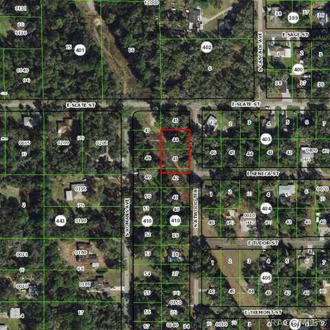 4936 S Atwood Terrace, Inverness, FL 34452