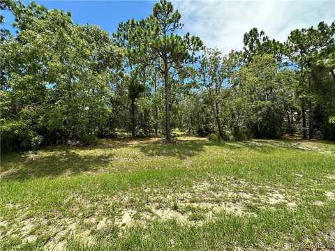 3951 N Grayhawk Loop, Lecanto, FL 34461