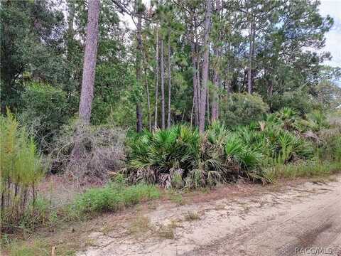 4039 N Mitchum Point, Crystal River, FL 34428