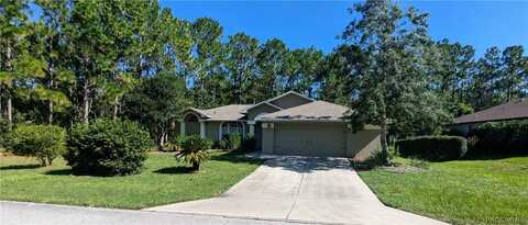 4 Maidenbush Court E, Homosassa, FL 34446