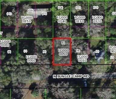 2419 N Junglecamp Road, Inverness, FL 34453