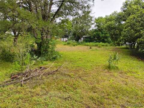 5311 W Blade Lane, Dunnellon, FL 34434