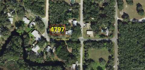 4797 E Cork Tree Lane, Hernando, FL 34442