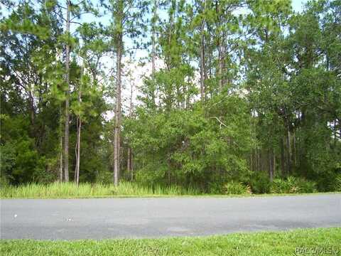 7903 S Suncoast Boulevard, Homosassa, FL 34446