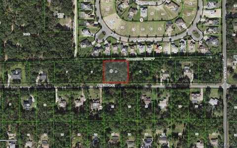 1173 W Olympia Street, Hernando, FL 34442