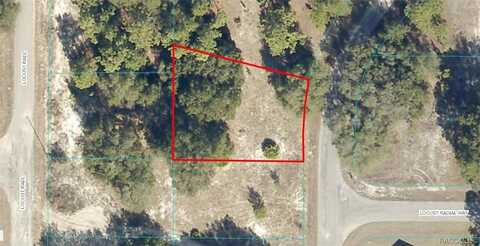 Lot 17 Locust Radial, Ocala, FL 34472