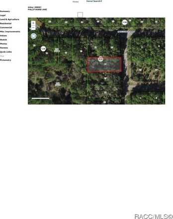 9188 N Tiffin Terrace, Citrus Springs, FL 34434