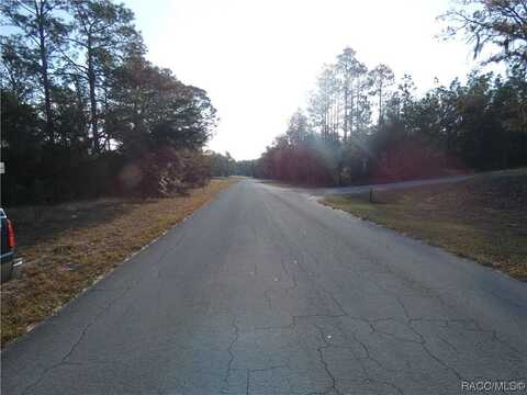 Lot 31 SW 93rd Lane Road, Dunnellon, FL 34431