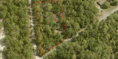 7697 W Crystal River Place, Dunnellon, FL 34433