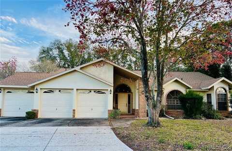 3900 W FIELDWOOD Court, Lecanto, FL 34461