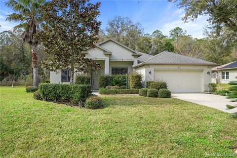 3542 N Chandler Drive, Hernando, FL 34442