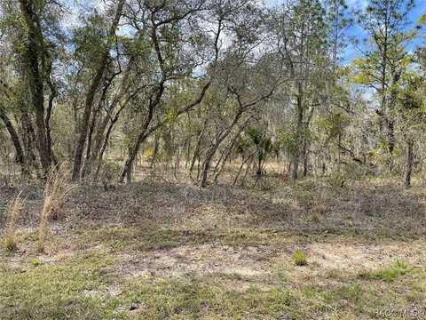 Lot 15 SE 128 Avenue, Dunnellon, FL 34431