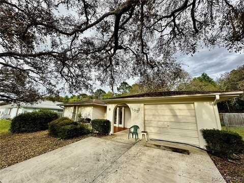 1105 N Commerce Terrace, Lecanto, FL 34461