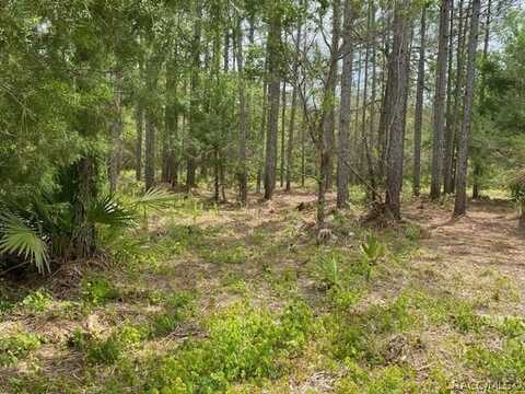 5631 S Atlantis Way, Homosassa, FL 34446