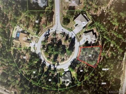 34 Tall Marigolds Court, Homosassa, FL 34446