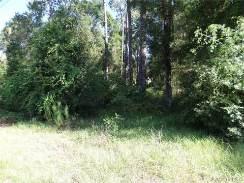 00 W 40 Highway, Dunnellon, FL 34431