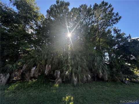 630 N Country Club Drive, Crystal River, FL 34429