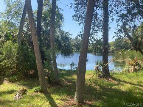 0 SW 137th Street, Waldo, FL 34433