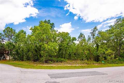 28 Smilax Court N, Homosassa, FL 34446