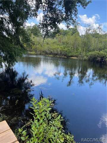 5500 S Marlin Point, Floral City, FL 34436