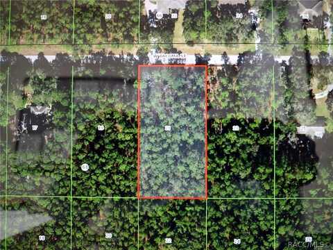 1188 W Tacoma Street, Hernando, FL 34442