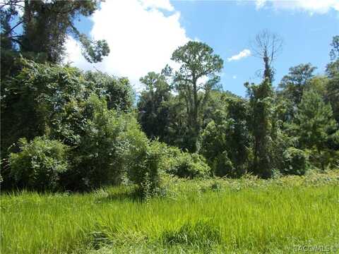 8180 N GARLAND Way, Citrus Springs, FL 34434