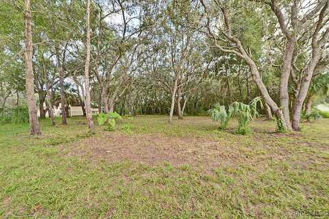 43 N Croft Avenue, Inverness, FL 34453