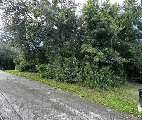 3076 E Glenn Street, Inverness, FL 34453