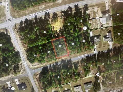 1905 W Linden Drive, Citrus Springs, FL 34434